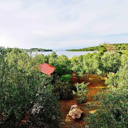 Holiday The Olive Tree House Ždrelac