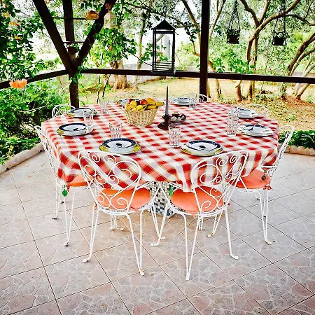 Holiday The Olive Tree House