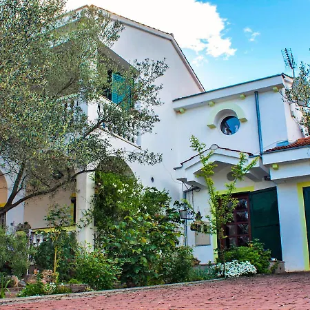 Holiday The Olive Tree House Сasa de vacaciones Ždrelac