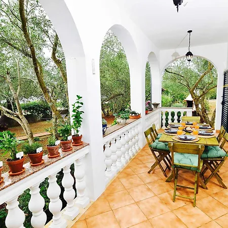 Holiday The Olive Tree House