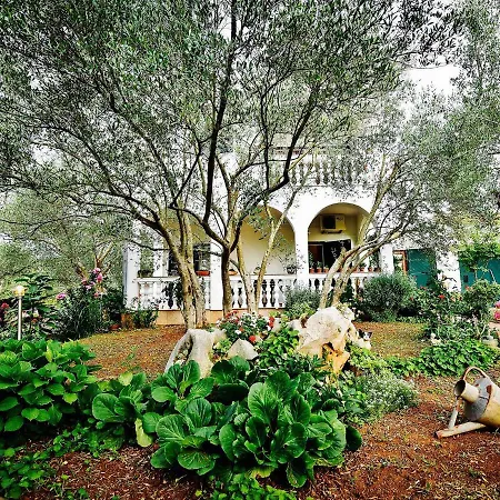 Holiday The Olive Tree House Сasa de vacaciones